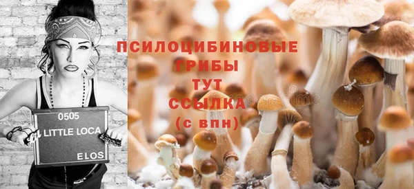 гашик Бежецк