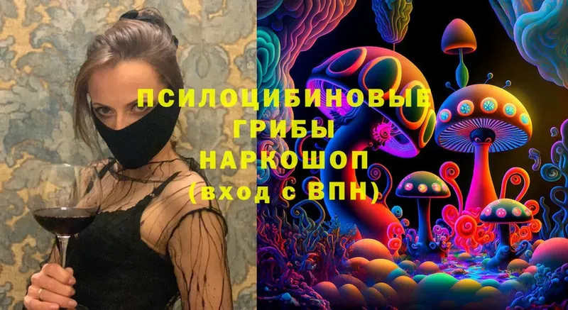 mega tor  Карпинск  Псилоцибиновые грибы Magic Shrooms 