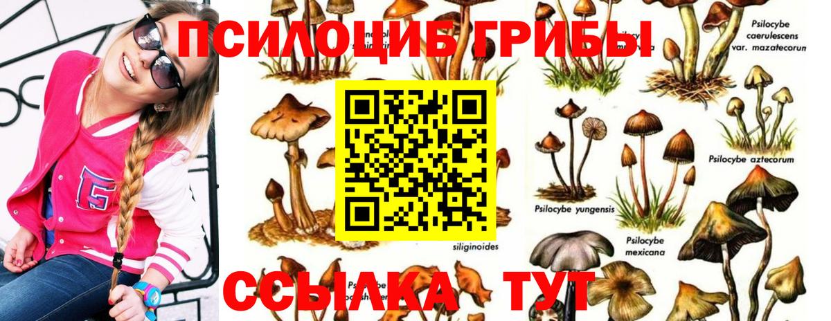Псилоцибиновые грибы мухоморы Карпинск